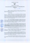 Vista preliminar de documento Resolución Gerencial Regional N°00205-2009-GRRNYGMA