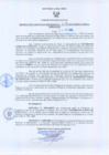 Vista preliminar de documento Resolución Gerencial Regional N°00200-2009-GRRNYGMA