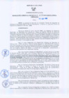 Vista preliminar de documento Resolución Gerencial Regional N°00207-2009-GRRNYGMA