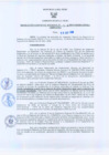 Vista preliminar de documento Resolución Gerencial Regional N°00214-2009-GRRNYGMA