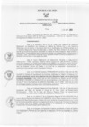 Vista preliminar de documento Resolución Gerencial Regional N°00224-2009-GRRNYGMA