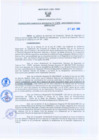 Vista preliminar de documento Resolución Gerencial Regional N°00257-2009-GRRNYGMA