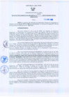Vista preliminar de documento Resolución Gerencial Regional N°00300-2009-GRRNYGMA