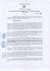 Vista preliminar de documento Resolución Gerencial Regional N°00295-2009-GRRNYGMA
