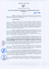 Vista preliminar de documento Resolución Gerencial Regional N°00312-2009-GRRNYGMA