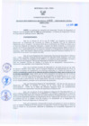 Vista preliminar de documento Resolución Gerencial Regional N°00313-2009-GRRNYGMA