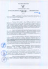 Vista preliminar de documento Resolución Gerencial Regional N°00324-2009-GRRNYGMA