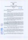 Vista preliminar de documento Resolución Gerencial Regional N°00325-2009-GRRNYGMA