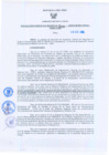 Vista preliminar de documento Resolución Gerencial Regional N°00330-2009-GRRNYGMA