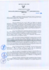 Vista preliminar de documento Resolución Gerencial Regional N°00319-2009-GRRNYGMA