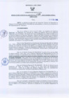 Vista preliminar de documento Resolución Gerencial Regional N°0036-2010-GRRNYGMA