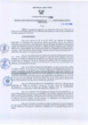 Vista preliminar de documento Resolución Gerencial Regional N°0038-2010-GRRNYGMA
