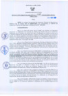 Vista preliminar de documento Resolución Gerencial Regional N°0045-2010-GRRNYGMA