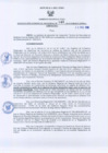 Vista preliminar de documento Resolución Gerencial Regional N°0041-2010-GRRNYGMA