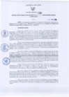 Vista preliminar de documento Resolución Gerencial Regional N°0039-2010-GRRNYGMA