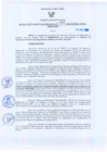 Vista preliminar de documento Resolución Gerencial Regional N°0058-2010-GRRNYGMA