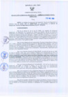 Vista preliminar de documento Resolución Gerencial Regional N°0095-2010-GRRNYGMA