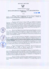Vista preliminar de documento Resolución Gerencial Regional N°00105-2010-GRRNYGMA