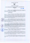 Vista preliminar de documento Resolución Gerencial Regional N°00114-2010-GRRNYGMA