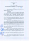 Vista preliminar de documento Resolución Gerencial Regional N°00195-2010-GRRNYGMA