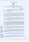 Vista preliminar de documento Resolución Gerencial Regional N°00197-2010-GRRNYGMA