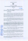 Vista preliminar de documento Resolución Gerencial Regional N°00202-2010-GRRNYGMA
