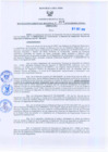 Vista preliminar de documento Resolución Gerencial Regional N°00207-2010-GRRNYGMA