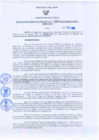 Vista preliminar de documento Resolución Gerencial Regional N°00210-2010-GRRNYGMA