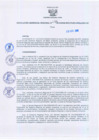 Vista preliminar de documento Resolución Gerencial Regional N°00248-2010-GRRNYGMA