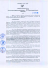 Vista preliminar de documento Resolución Gerencial Regional N°00209-2010-GRRNYGMA