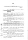 Vista preliminar de documento Resolución Gerencial Regional N°005-2011-GRRNYGMA