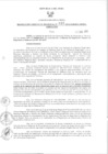 Vista preliminar de documento Resolución Gerencial Regional N°0010-2011-GRRNYGMA