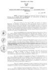 Vista preliminar de documento Resolución Gerencial Regional N°00154-2011-GRRNYGMA