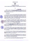 Vista preliminar de documento Resolución Gerencial Regional N°0028-2013-GRRNYGMA