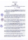 Vista preliminar de documento Resolución Gerencial Regional N°0040-2013-GRRNYGMA