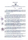 Vista preliminar de documento Resolución Gerencial Regional N°00424-2013-GRRNYGMA