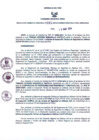 Vista preliminar de documento Resolución Gerencial Regional N°0085-2014-GRRNYGMA