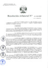 Vista preliminar de documento Resolución Jefatural 141 - 2022.pdf