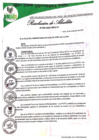 Vista preliminar de documento 295.pdf