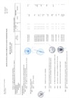 Vista preliminar de documento rsg_026_2019_mimp_sg_anexo