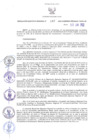 Vista preliminar de documento RER N° 346-2022