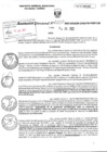 Vista preliminar de documento RD0250-MIDAGRI-DVDAFIR-PEBPT_0001.pdf