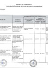 Vista preliminar de documento Reporte Plan de Acción Anual Sección Medidas de Remedición  - 2019