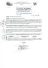 Vista preliminar de documento 1294930021_N°0306-2016.pdf