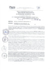 Vista preliminar de documento 198212046_N°0312-2016.pdf