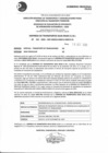 Vista preliminar de documento 1121762673_CEE-AA N°319-2020-19-10-2020.pdf