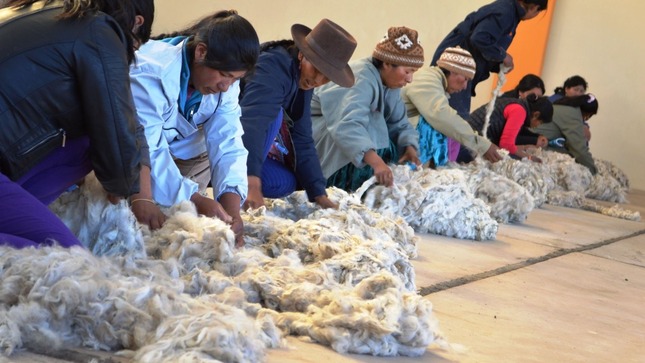 Imagen de mujeres trabajando con algodón textil