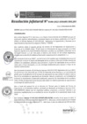 Vista preliminar de documento RES. 100-2022-SUNARP-ZRN°X-JEF