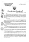 Vista preliminar de documento RD N°171-2022-DG-HEJCU.PDF