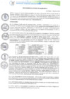 Vista preliminar de documento RESOLUCION 186.PDF